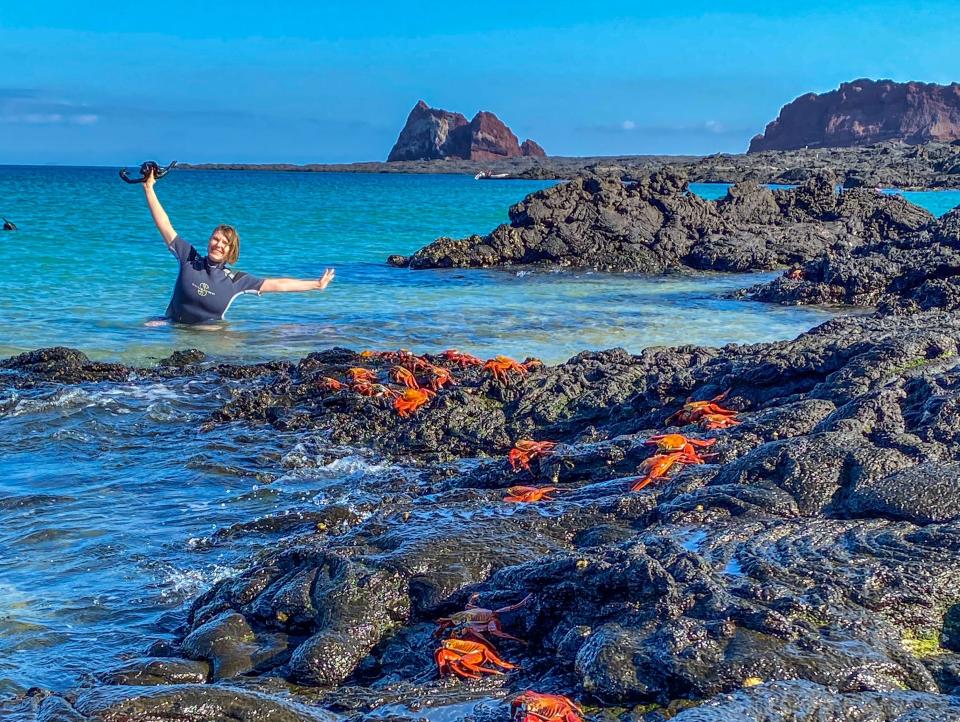 Bright red and orange crabs on rocks near water edge