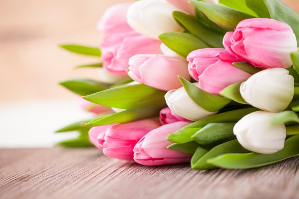 Tulips<p>fotogestoeber/Shutterstock</p>