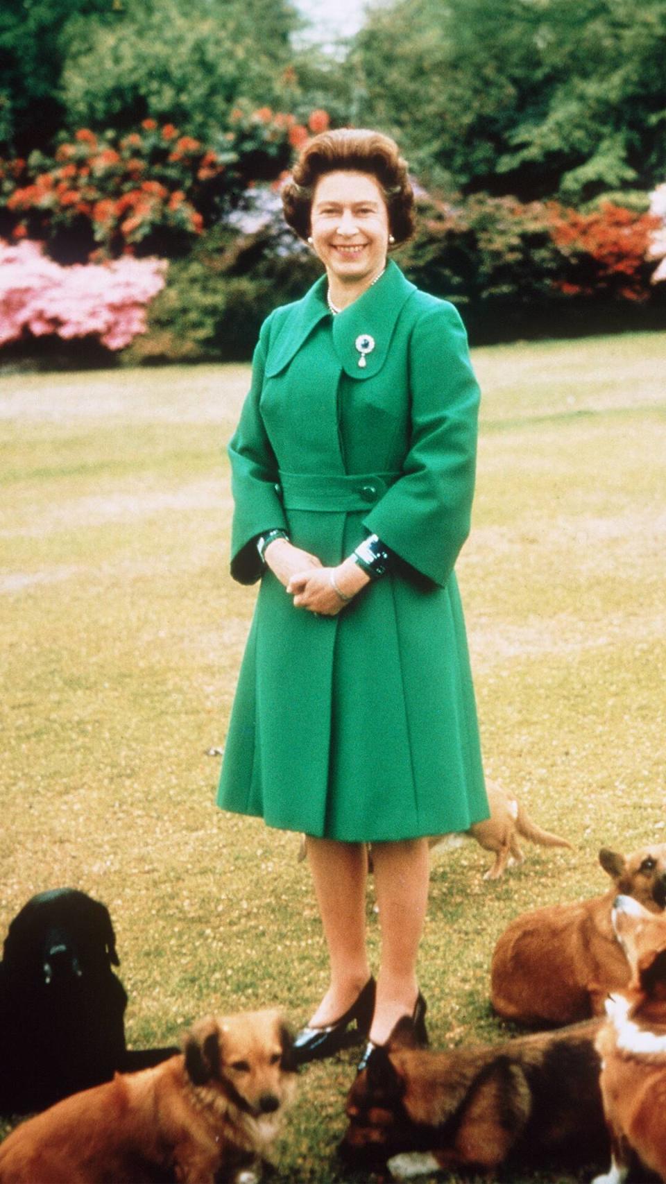 Queen Elizabeth, Dogs