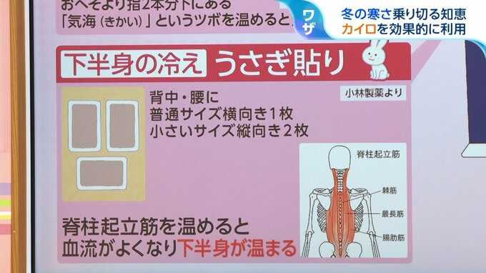 （圖／翻攝自社群網站X）