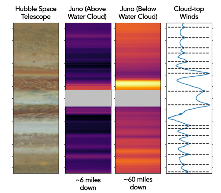 Graphs of the belts and zones observed in microwave light.