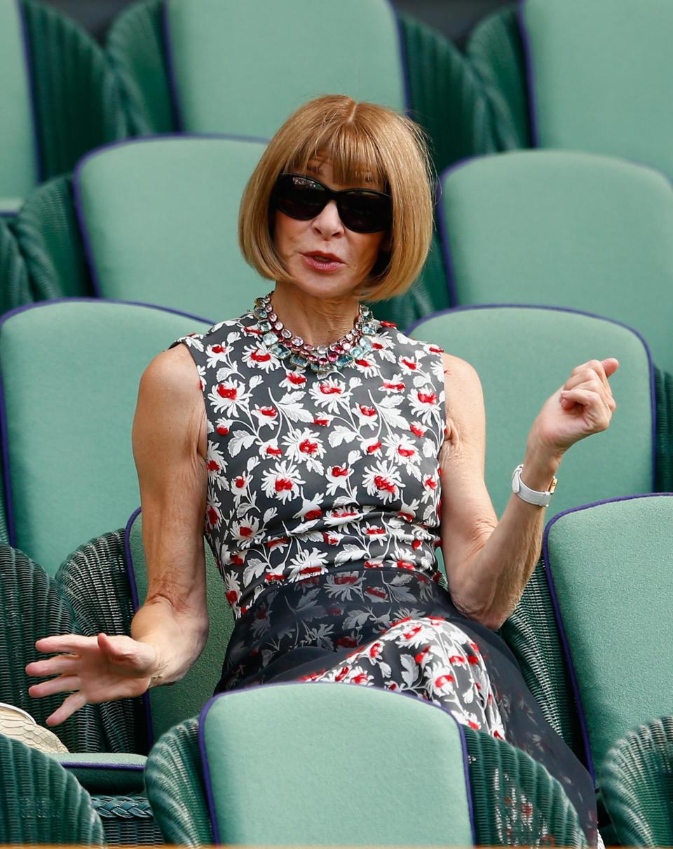 Anna Wintour (Getty Images)