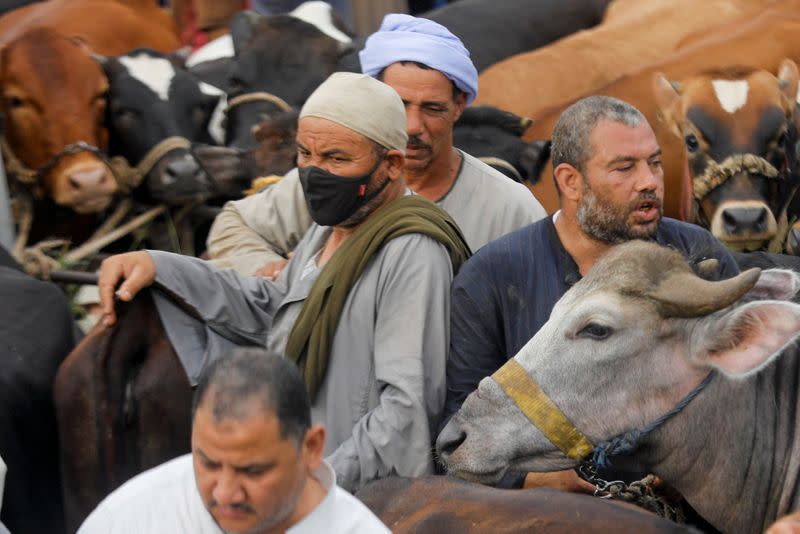 Vendors await customers at a cattle market in Al Manashi village, ahead of the Muslim festival of sacrifice Eid al-Adha, following the outbreak of the coronavirus disease (COVID-19), in Giza, on the outskirts of Cairo