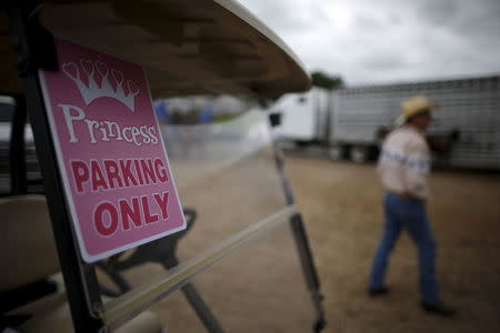 A golf cart with a "Princess parking only" sign is seen at the International Gay Rodeo Association's Rodeo In the Rock in Little Rock, Arkansas, United States April 26, 2015. REUTERS/Lucy Nicholson