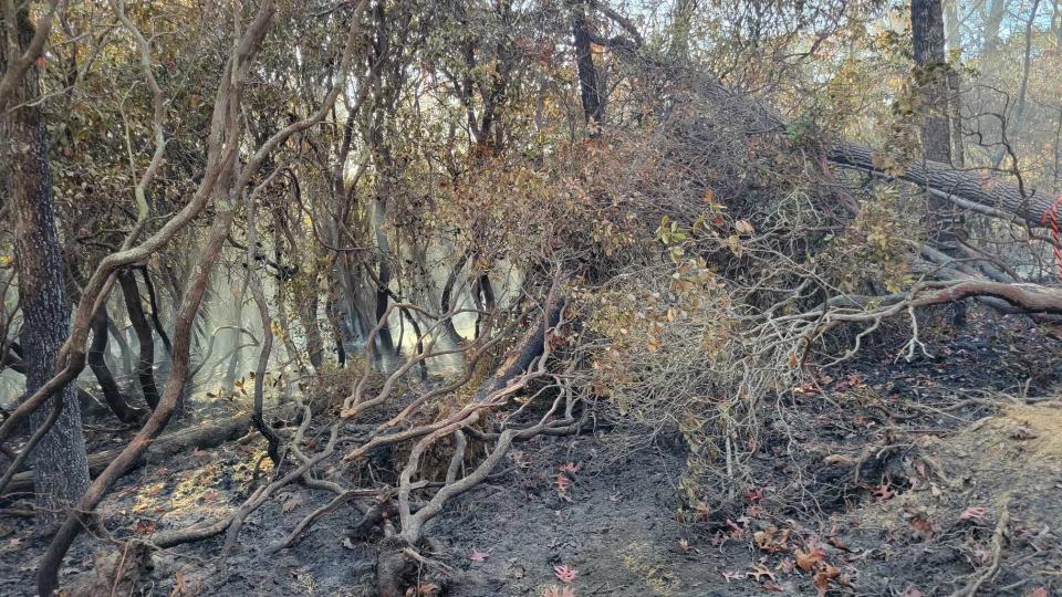 A look at the fire damage caused by the Poplar Drive Fire on Bald Top Mountain on Nov. 8, the sixth day of the fire.