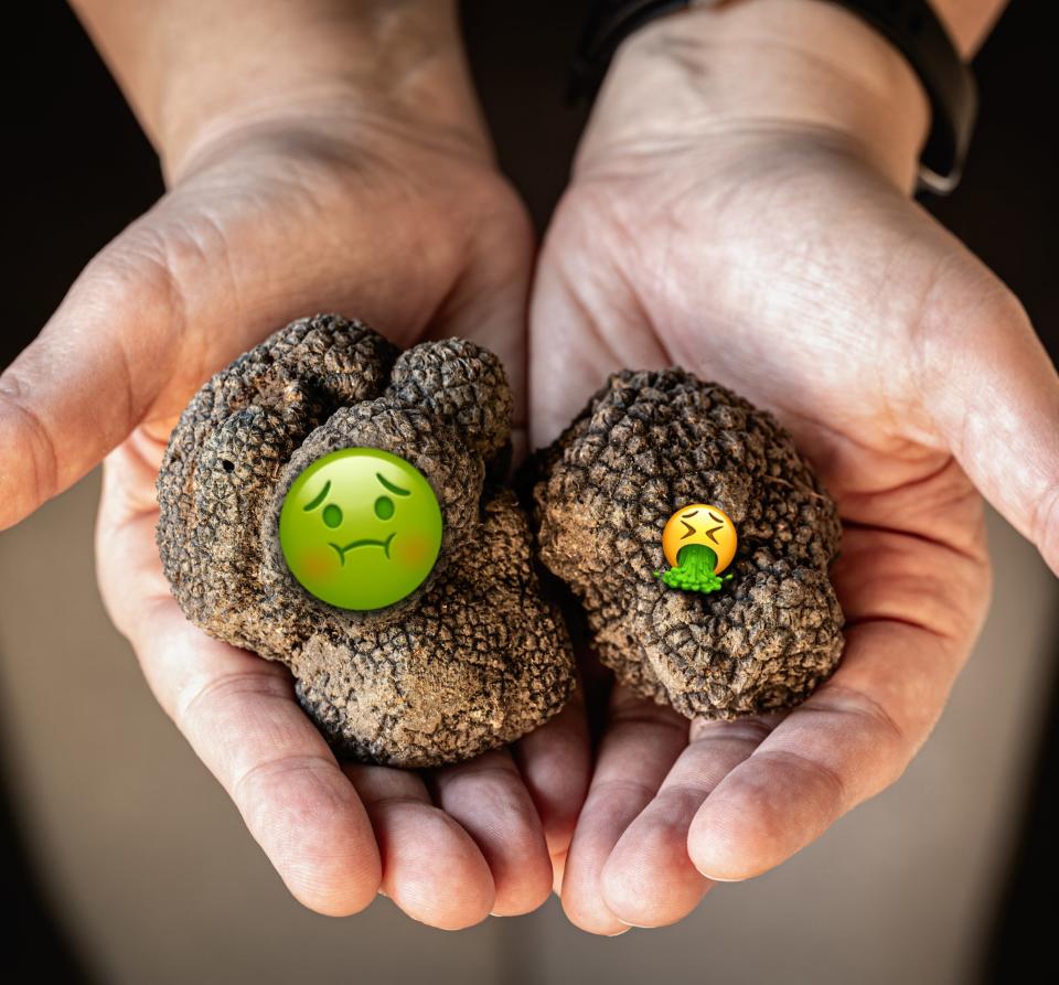 Vomit emojis placed over two truffles being held by someone