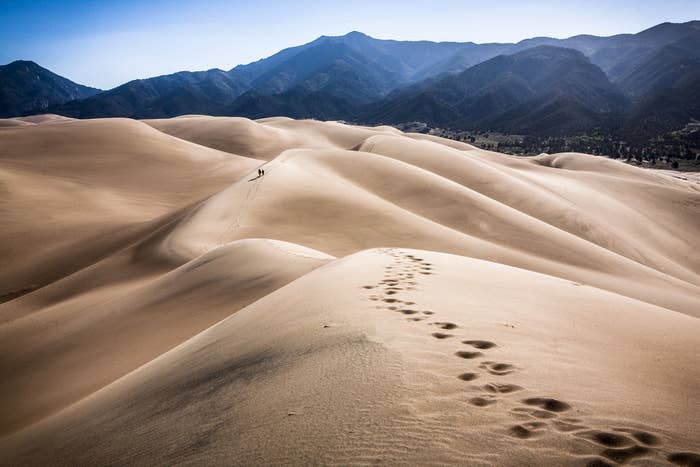 Great sand dunes with mountains in the backdrop