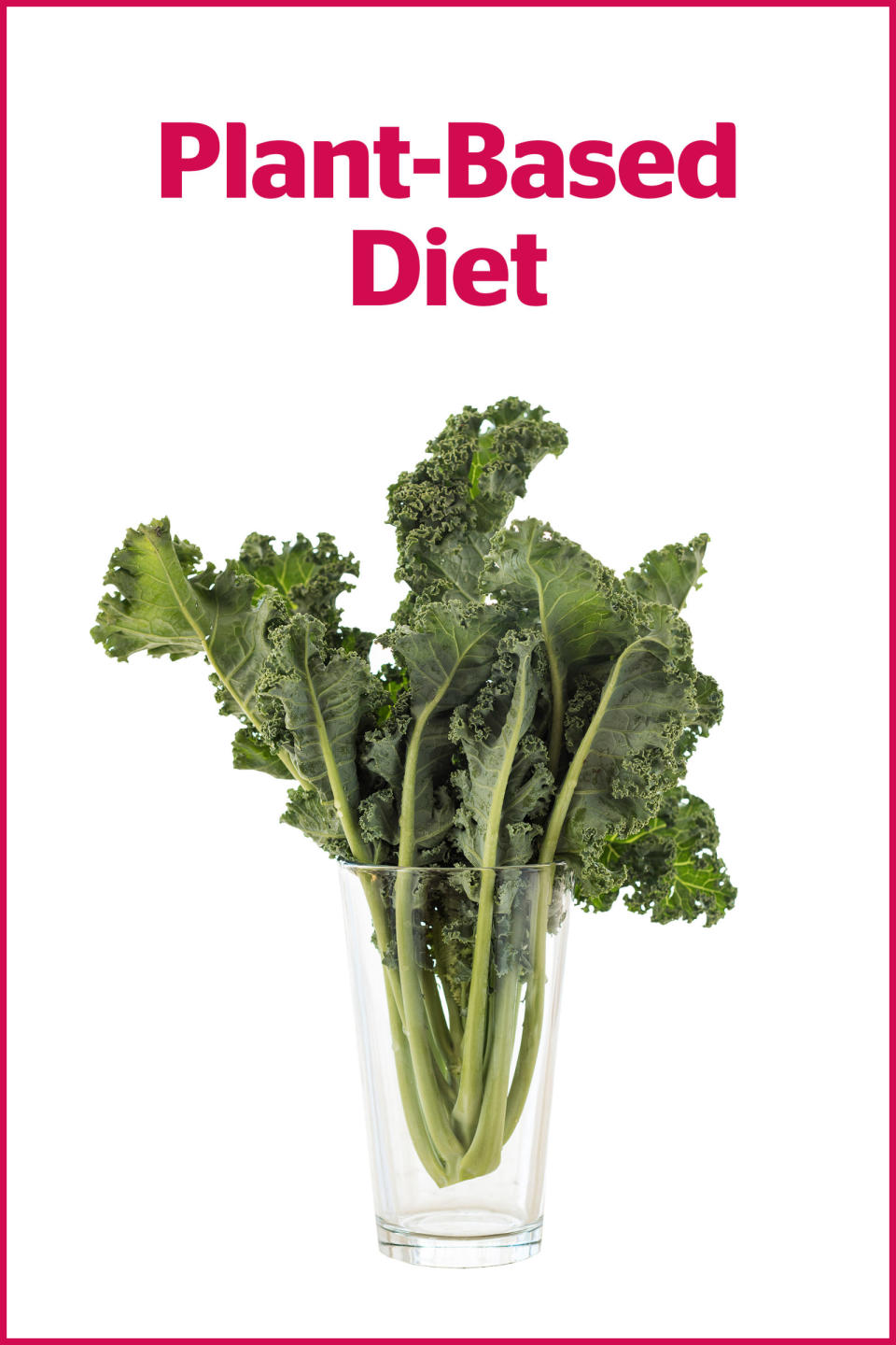 29) Plant-Based Diet