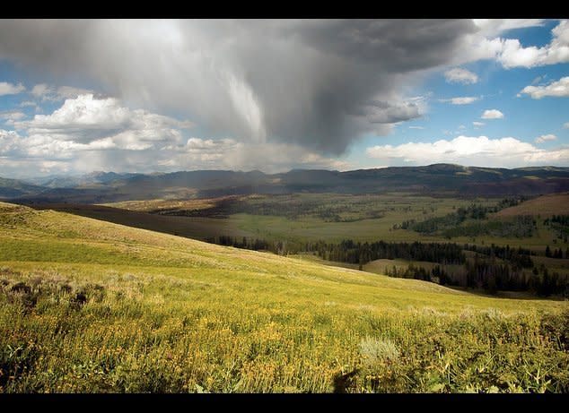 A summer storm sweeps down through the Lamar Valley in the northeastern corner of Yellowstone National Park. (tomkellyphoto, Flickr)