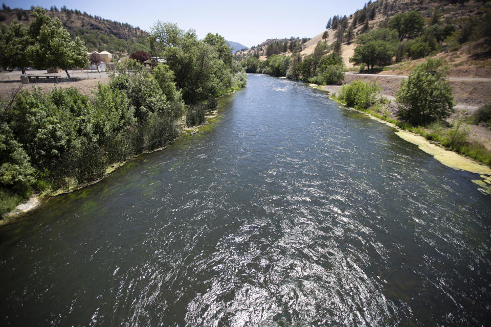 In this photo provided by the California Department of Fish and Wildlife, is the Klamath River just below Iron Gate Dam in Siskiyou County, Calif., on July 8, 2021. Baby salmon are dying in the thousands in one river and an entire run of endangered salmon could be wiped out in another as blistering heat waves and extended drought in the U.S. West raise water temperatures and imperil fish from Idaho to California. (Travis VanZant/CDFW via AP)​