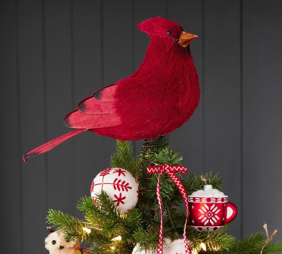 <p><a href="https://go.redirectingat.com?id=74968X1596630&url=https%3A%2F%2Fwww.potterybarn.com%2Fproducts%2Fred-cardinal-bird-tree-topper&sref=https%3A%2F%2Fwww.housebeautiful.com%2Fentertaining%2Fholidays-celebrations%2Fg45735039%2Fchristmas-tree-topper-ideas%2F" rel="nofollow noopener" target="_blank" data-ylk="slk:Shop Now;elm:context_link;itc:0;sec:content-canvas" class="link ">Shop Now</a></p><p>Cardinal Tree Topper</p><p>potterybarn.com</p><p>$59.00</p>