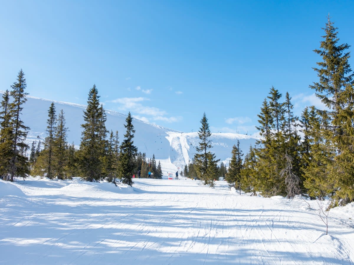Trysil is the country’s largest ski centre, with 69 slopes and 32 lifts  (Getty Images/iStockphoto)