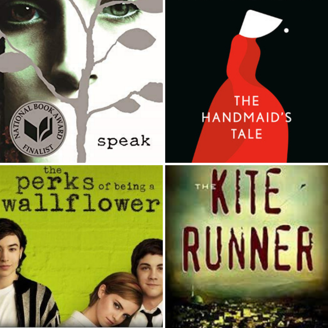 Review committees will determine whether “The Handmaid’s Tale,” “The Perks of Being a Wallflower,” “Speak” and “The Kite Runner” will be allowed in Beaufort County school libraries Dec. 1.