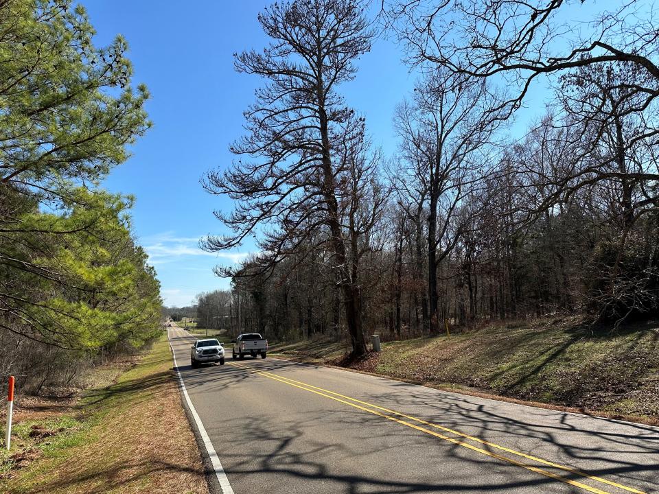 Dead trees along Madison Ave. in Madison are in need of being removed because of drought, cold and insects. These are just a few of what could be millions of trees in Central Mississippi that could be impacted.