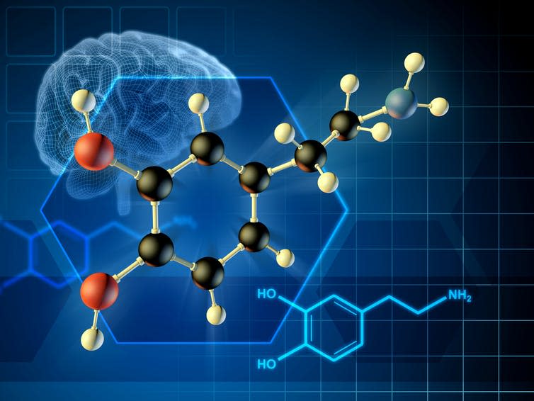 Dopamine molecule formula and 3D diagram.