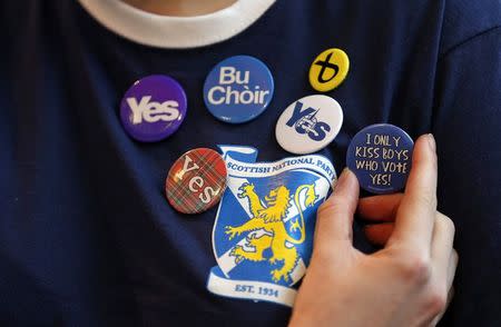 A party supporter displays some of her badges at the Scottish Nationalist Party (SNP) annual party conference in Perth November 15, 2014. REUTERS/Cathal McNaughton