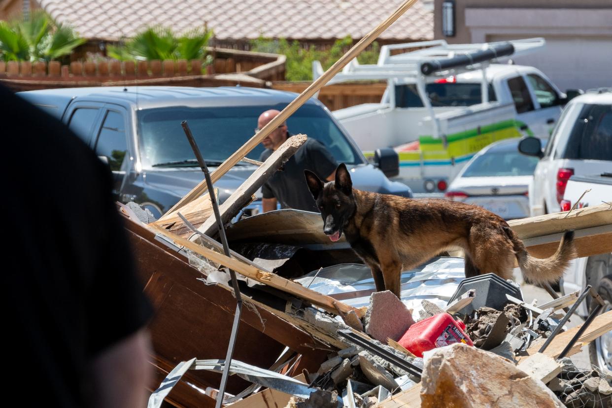 A dog from the San Bernardino County Sheriff's Department's Search Dog Team stands on the rubble of a destroyed house in the 14900 block of Adalane Court in Victorville on Wednesday, June 29, 2022. Authorities said an explosion at the home injured a 40-year-old woman and damaged nearby houses.