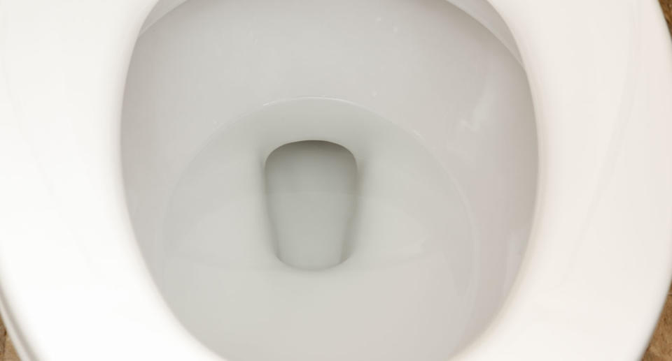 Toilet bowl pictured after woman fished festival-goers licence out of a public toilet in Perth.