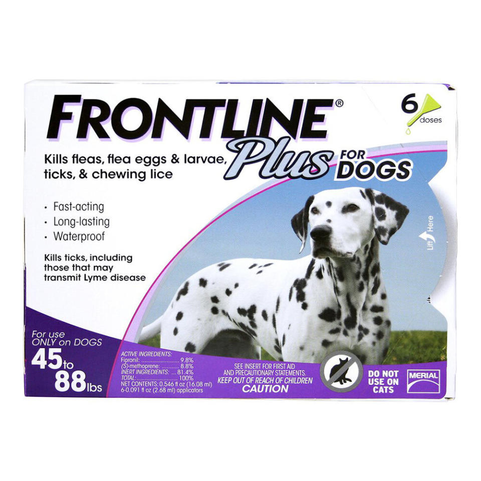 Frontline Plus Flea & Tick Large Breed Dog Treatment, 45 - 88 lbs. (Photo: Chewy)