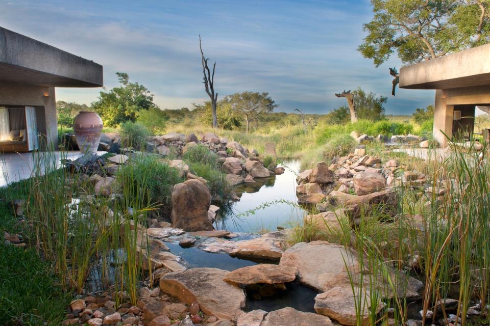 The view from the Earth Lodge reception (Sabi Sabi)