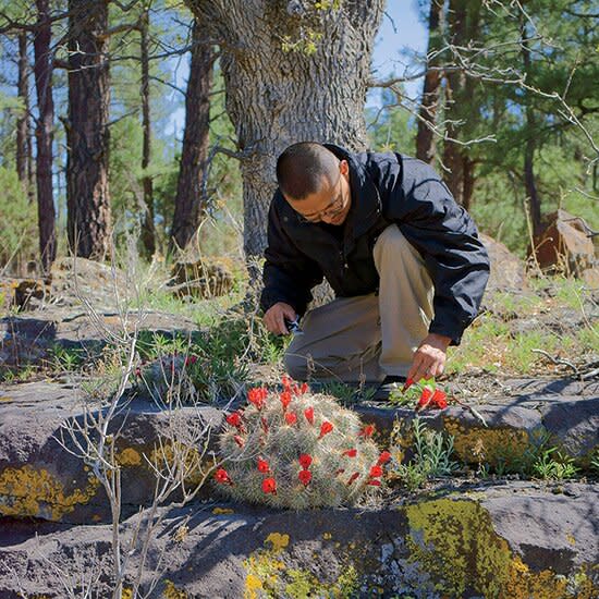 original-201408-HD-native-american-food.jpg