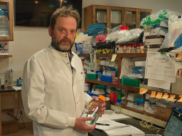 Dr. James Metcalf processing cyanobacterial samples at the Brain Chemistry Labs in Jackson, Wyoming