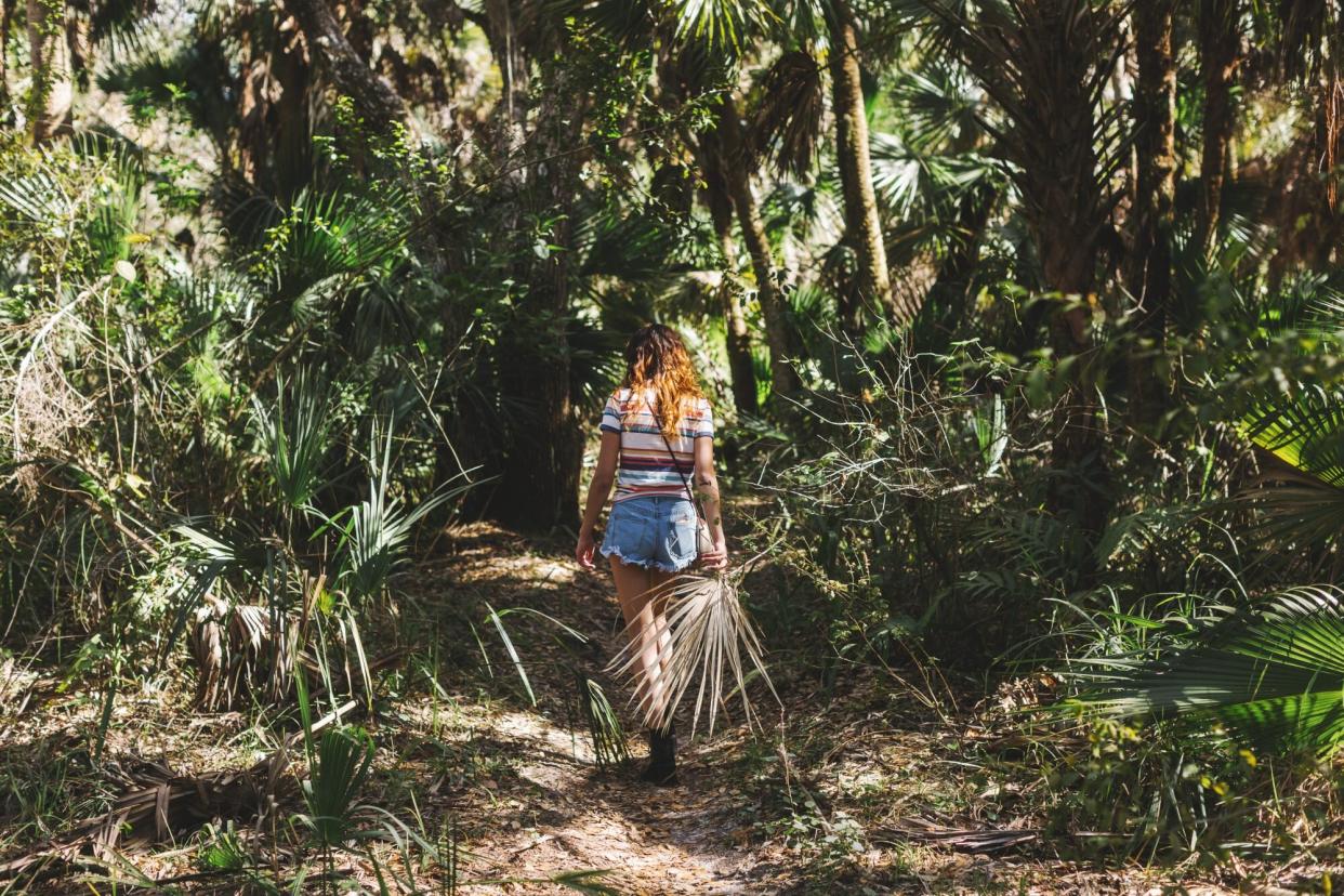 Woman exploring forest, Bonita Springs, Florida