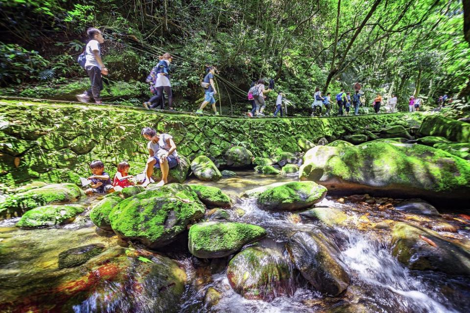 走在台北大縱走第四段「圓覺寺步道」，與沁涼溪流伴行，不論是登高或溪旁休憩都可體驗山林各式風貌美景。   圖：台北市觀傳局／提供