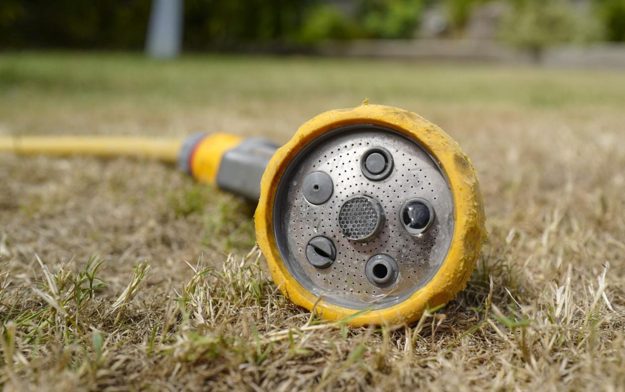 Hosepipe on parched ground - Hugh R Hastings/Getty Images)