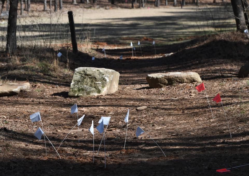 Tim Ritter, park manger at Croft State Park, shows an area marked closed to visitors due to cleanup as work crews use equipment to detect items that need to be removed from the park.
(Photo: ALEX HICKS JR./SPARTANBURG HERALD-JOURNAL)