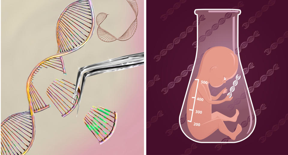 Stock images of DNA on the left and a baby in a test tube on the right. 