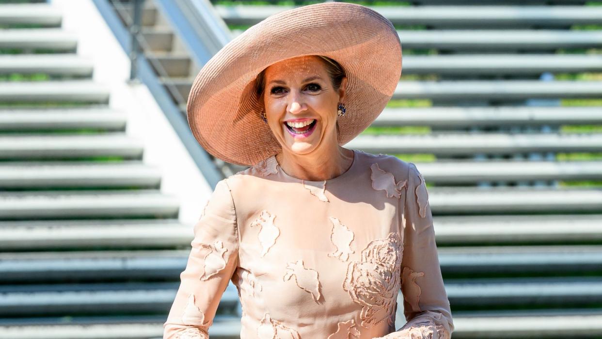 queen maxima in pink dress at global leadership exchange 