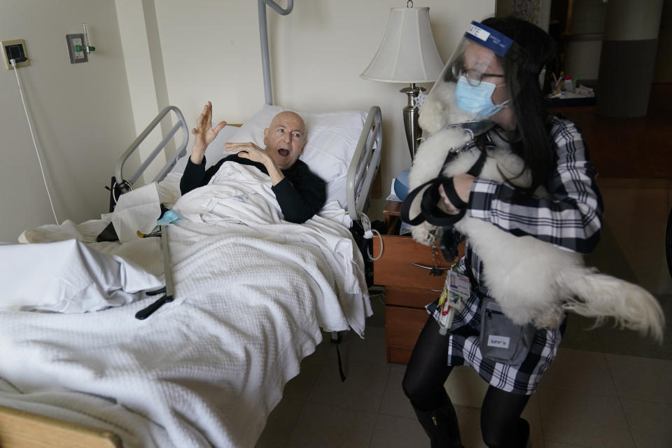 Jeff Philipson, 80, left, exclaims as therapeutic activities staff member Kate DelPizzo arrives for a visit with Zeus, a bichon frise, at The Hebrew Home at Riverdale in New York, Wednesday, Dec. 9, 2020. New dog recruits are helping to expand the nursing home's pet therapy program, giving residents and staff physical comfort while human visitors are still restricted because of the pandemic. (AP Photo/Seth Wenig)