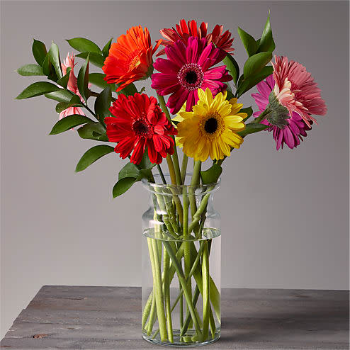 <p><a href="https://go.redirectingat.com?id=74968X1596630&url=https%3A%2F%2Fwww.proflowers.com%2Fproduct%2Fsunkissed-gerbera-bouquet-prd-ffgd&sref=https%3A%2F%2Fwww.womenshealthmag.com%2Flife%2Fg43840994%2Fbest-mothers-day-flower-delivery-services%2F" rel="nofollow noopener" target="_blank" data-ylk="slk:Shop Now;elm:context_link;itc:0;sec:content-canvas" class="link ">Shop Now</a></p><p>Sunkissed Gerbera Bouquet</p><p>$65.00</p><p>proflowers.com</p>