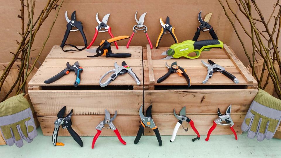 Best Pruning Shears: