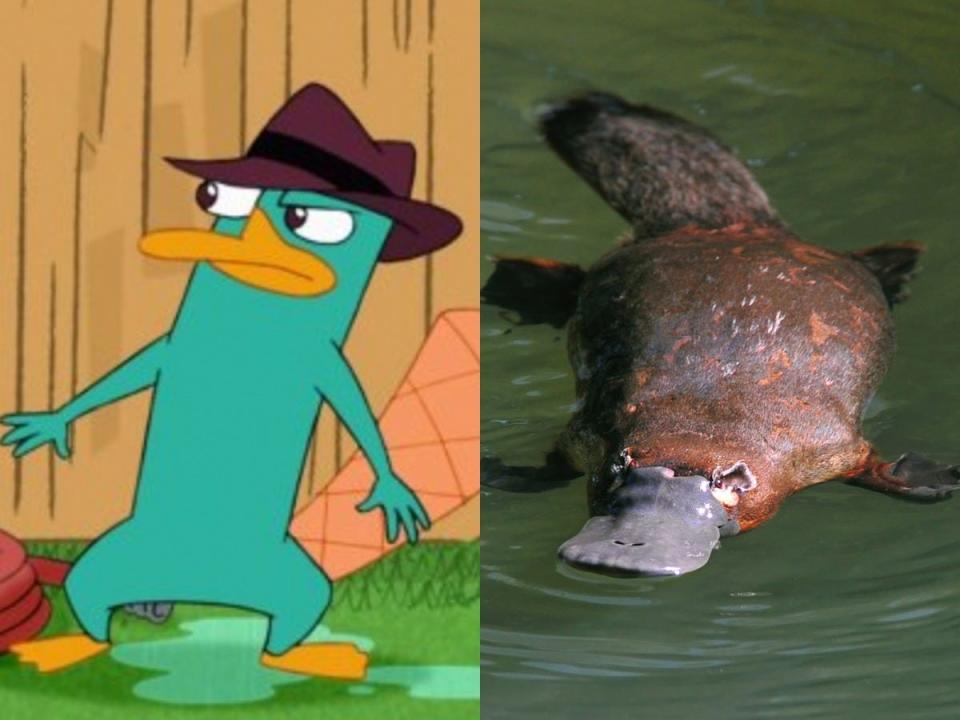 perry side by side
