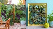 Quirky vertical gardens