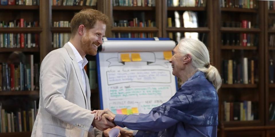 See All the Best Photos of Prince Harry Meeting with Legendary Environmentalist Jane Goodall
