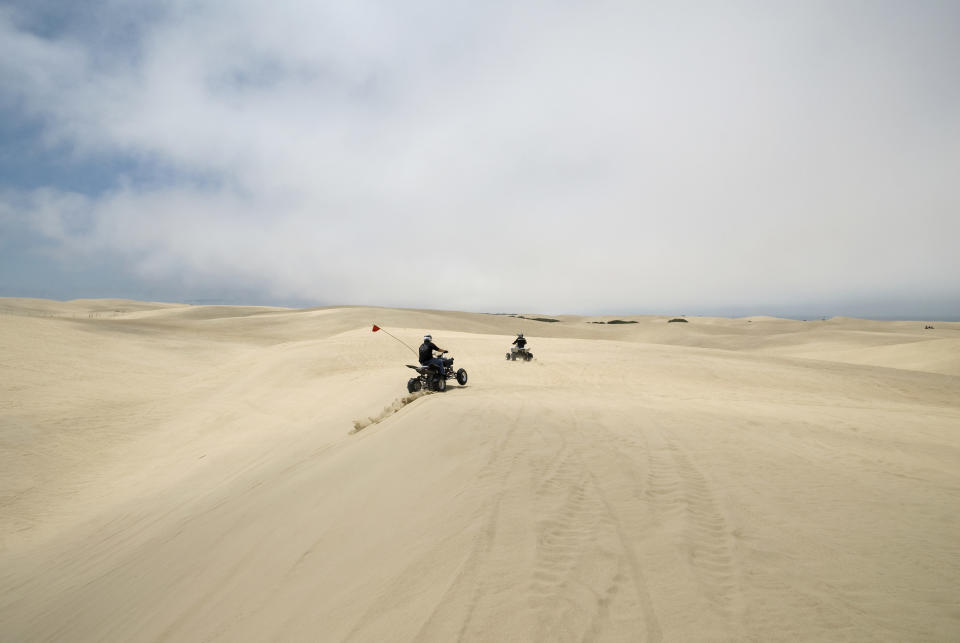 Friends driving ATVs across the sand