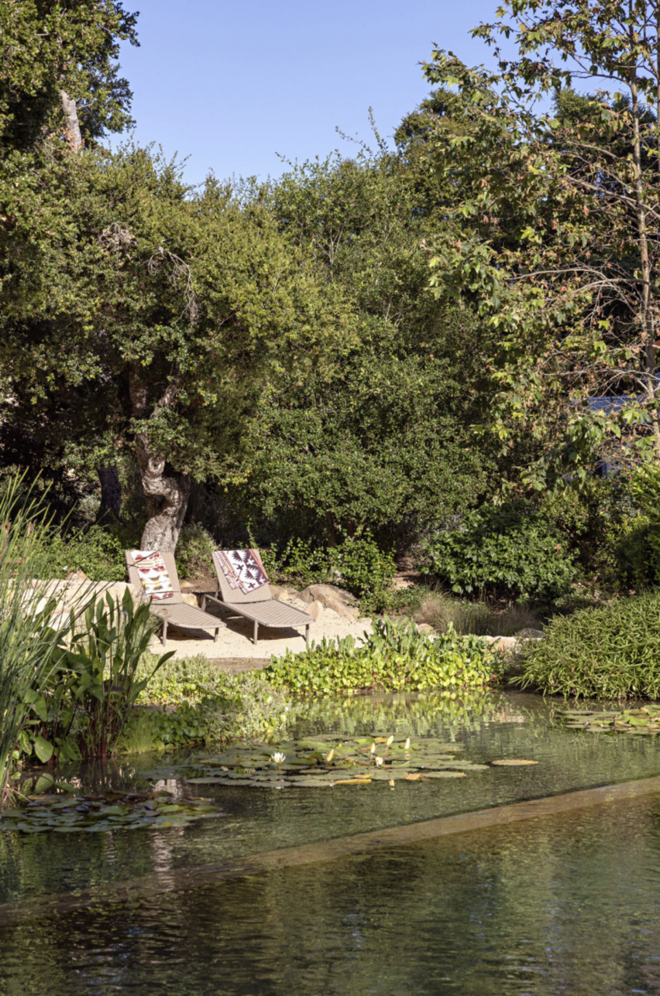 A swimming pool with a dedicated seating zone