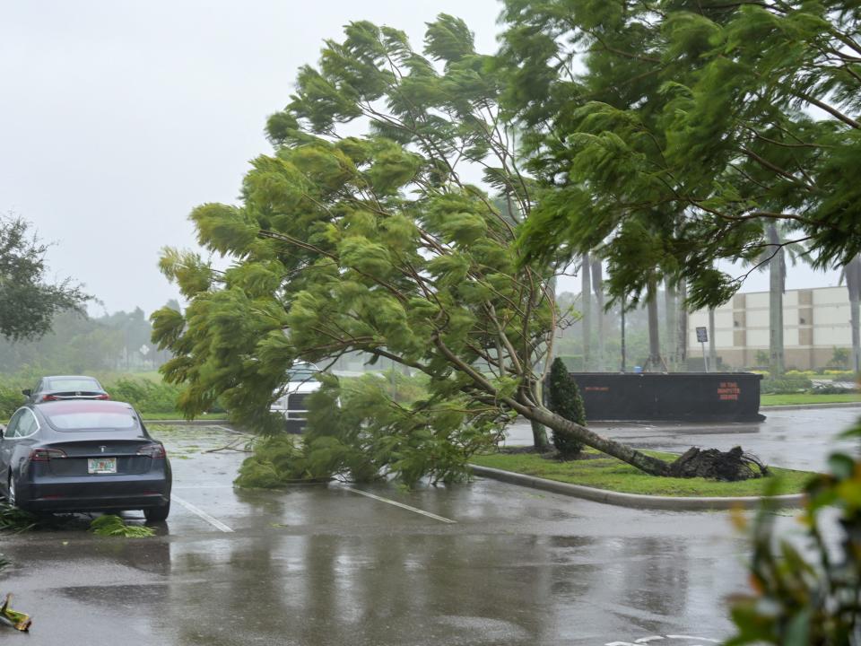 Gusts from Hurricane Ian begin to knock down small trees and palm fronds in a hotel parking lot in Sarasota, Florida, U.S. September 28, 2022.