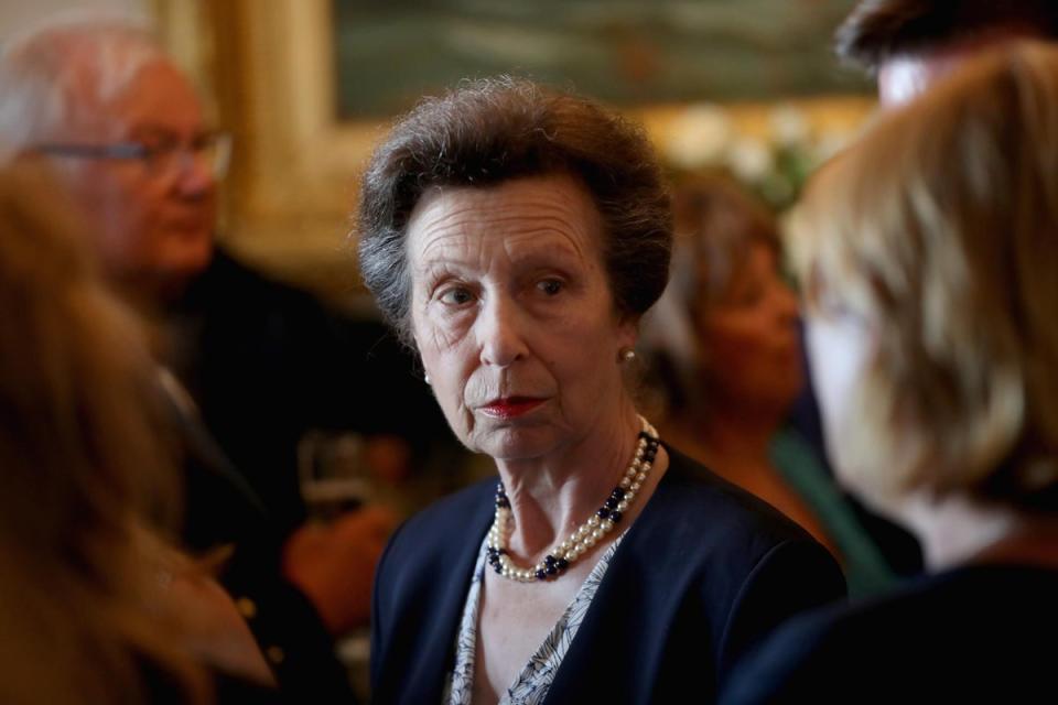 Princess Anne is the first senior member of the royal family to be convicted of a criminal offence (Getty)