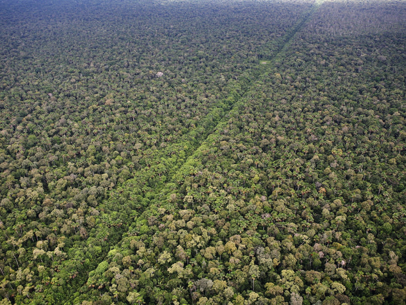 An existing road running through the Amazon in Peru: Getty