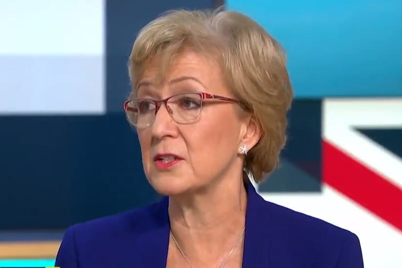 Andrea Leadsom quits: What next for Theresa May as another minister resigns over Brexit?