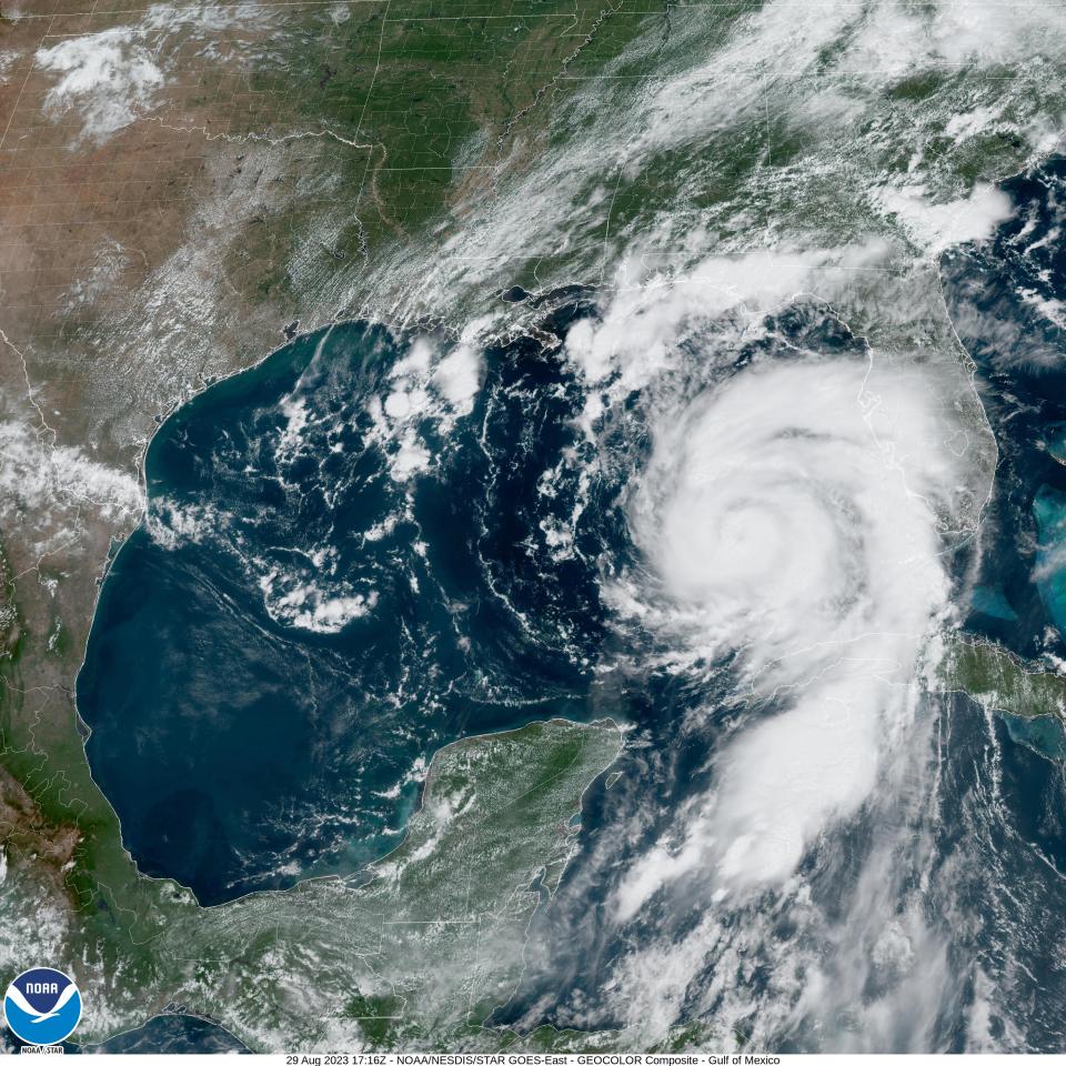 satellite image shows hurricane forming a cyclone of clouds above the gulf of mexico in between the yucatan peninsula and florida