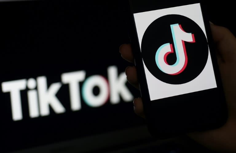 Le Conseil d'Etat a accordé mardi 24 heures supplémentaires au gouvernement pour motiver l'interdiction de TikTok en Nouvelle-Calédonie (Olivier DOULIERY)