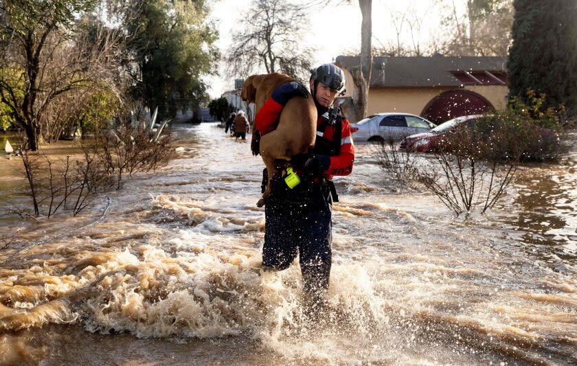 San Diego firefighter Brian Sanford rescues a dog from a flooded home in Merced, California, on January 10, 2023. - Relentless storms were ravaging California again Tuesday, the latest bout of extreme weather that has left 14 people dead. Fierce storms caused flash flooding, closed key highways, toppled trees and swept away drivers and passengers -- reportedly including a five-year-old-boy who remains missing in central California. (Photo by JOSH EDELSON / AFP) (Photo by JOSH EDELSON/AFP via Getty Images)