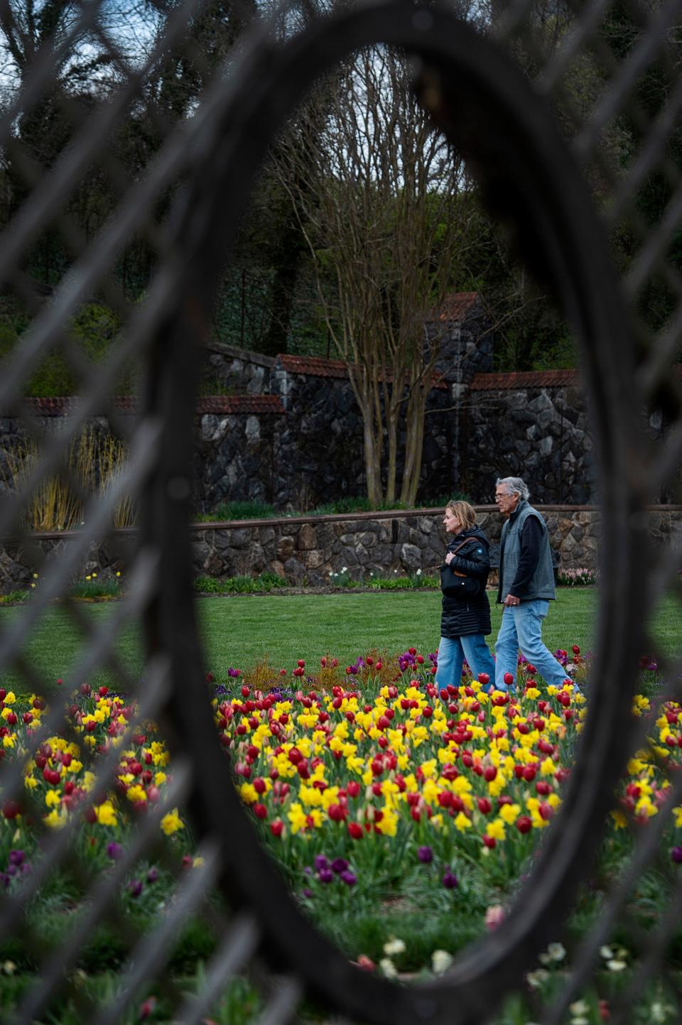 A reader wonders what Biltmore does with its tulip bulbs after blooming season.