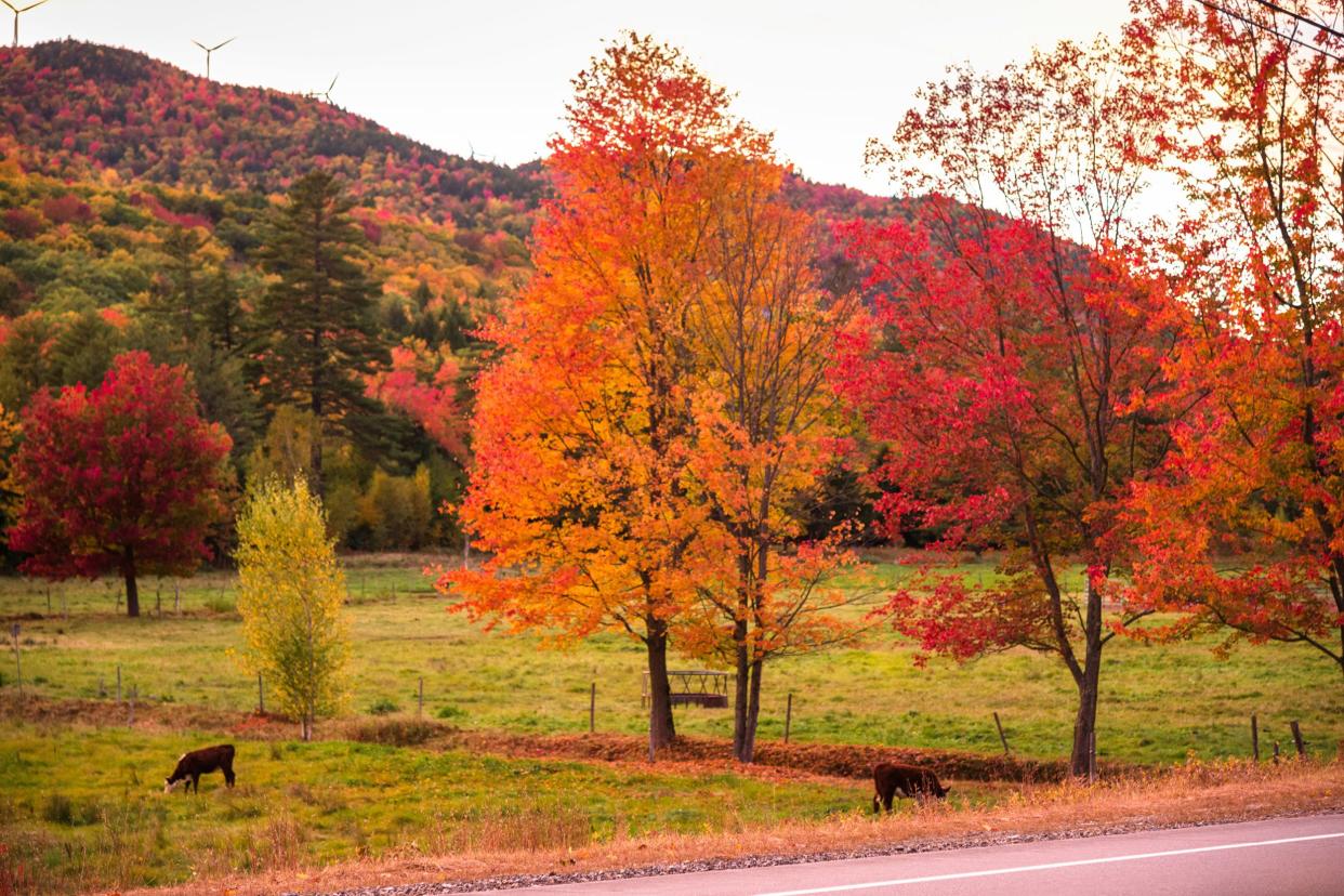 Woodstock, New Hampshire