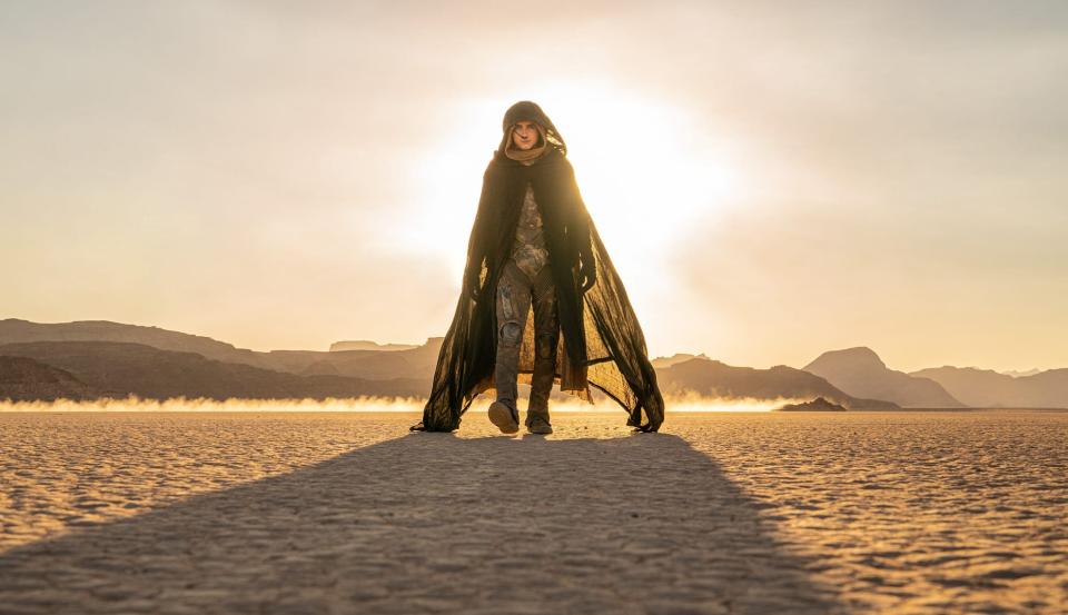 Timothée Chalamet in a cloak